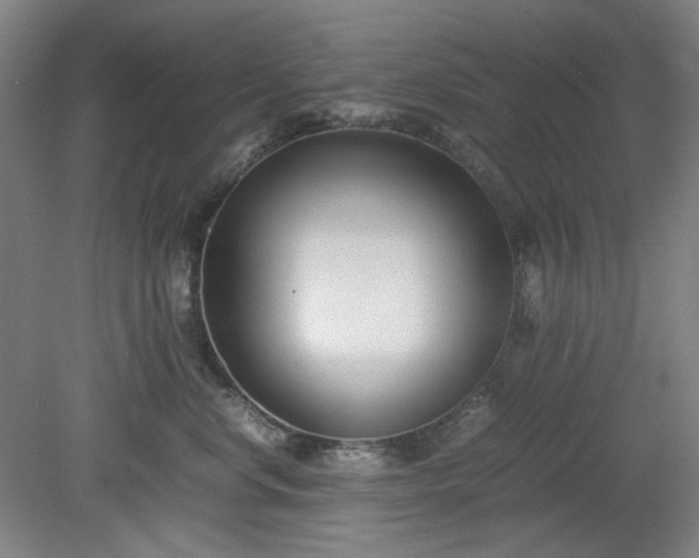 X0000078880668200611201412