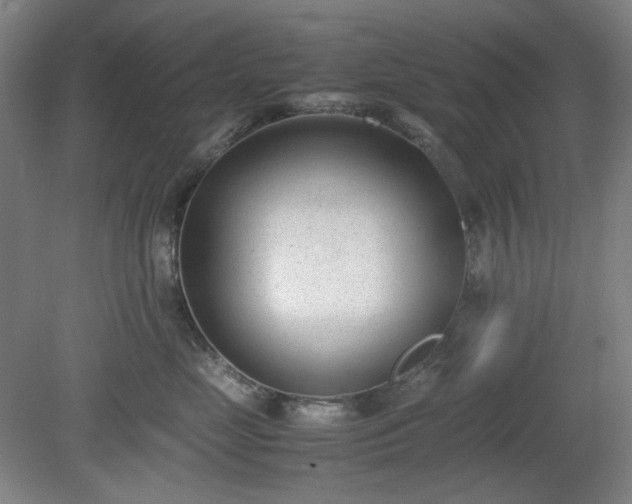 X0000078880669200611201412