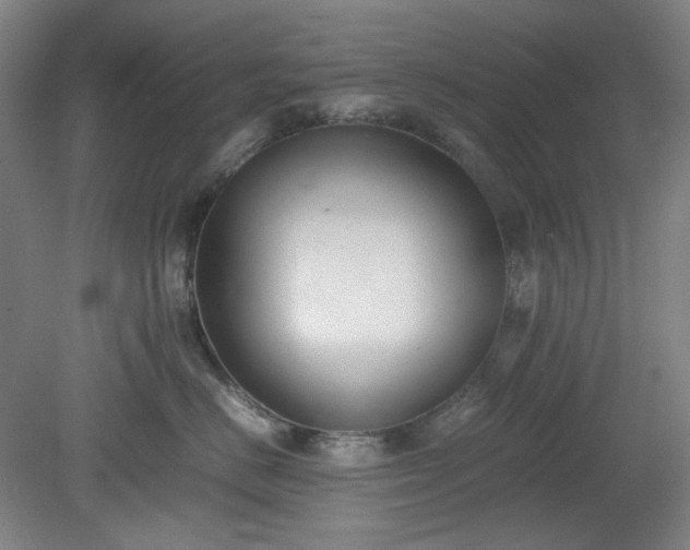 X0000078880670200611201412