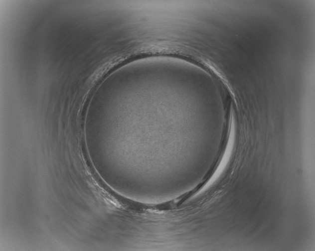 X0000078880673200611201411