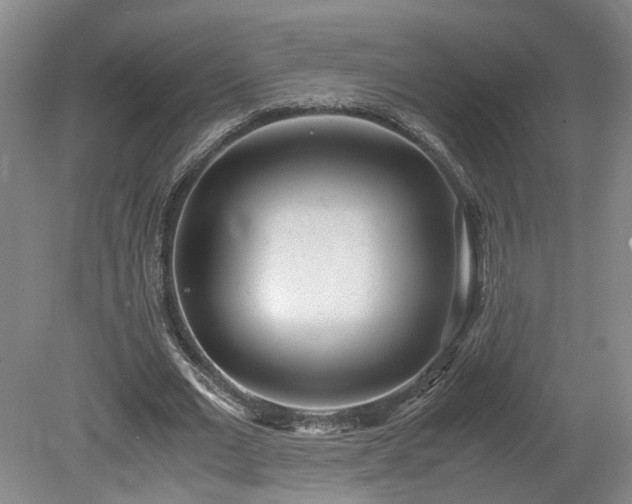 X0000078880677200611201411