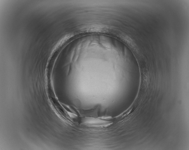 X0000078880678200611201411