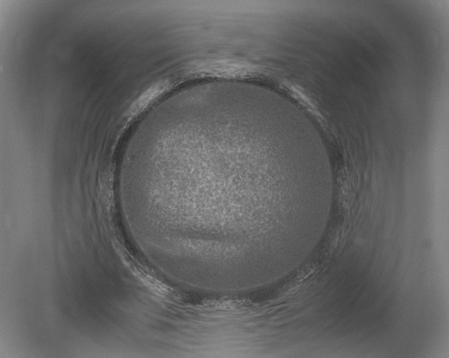 X0000078880679200611201411