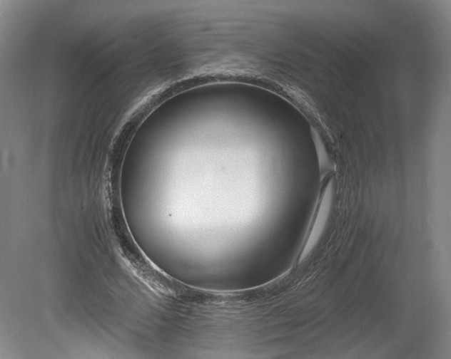 X0000078880680200611201411