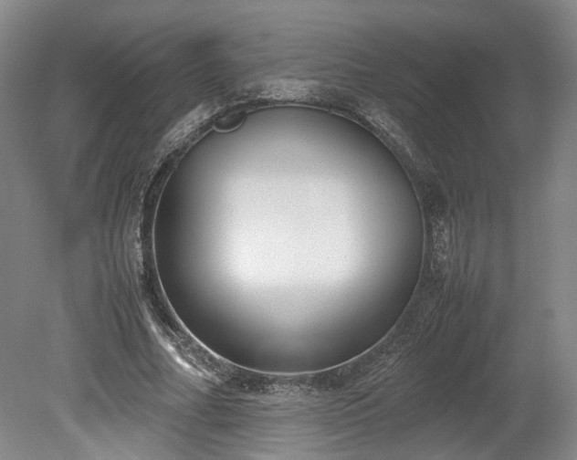 X0000078880682200611201411