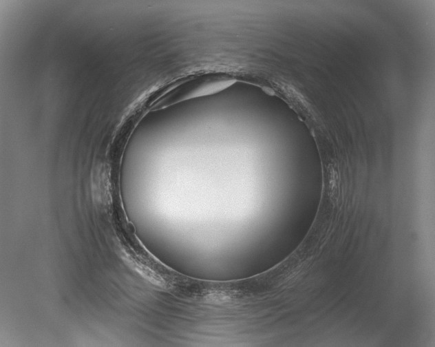 X0000078880684200611201411