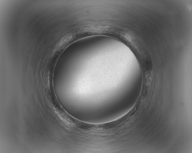 X0000078880685200611201411