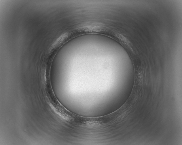 X0000078880686200611201411