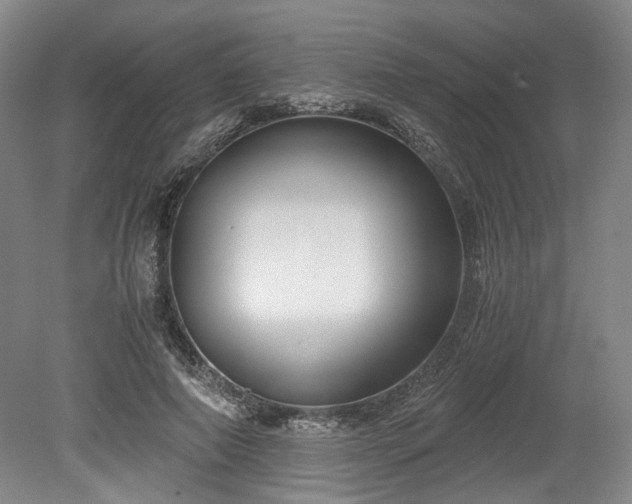 X0000078880690200611201411