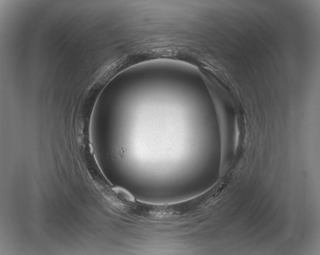 X0000078880693200611201411