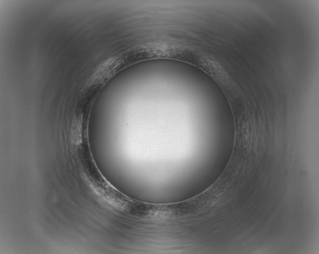 X0000078880694200611201411