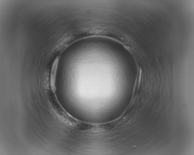 X0000078880696200611201411