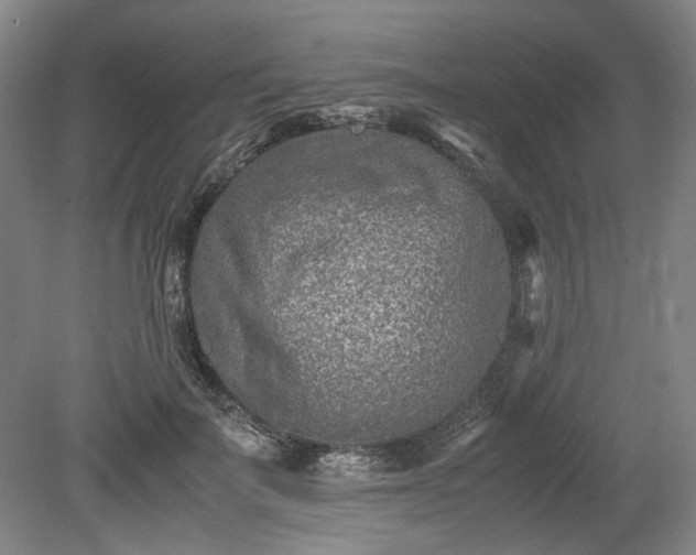 X0000078880699200611201411