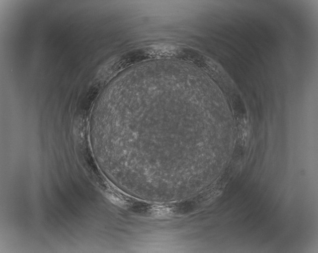 X0000078880701200611201411