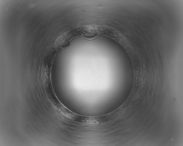 X0000078880702200611201411