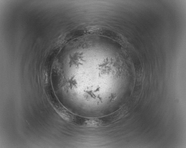 X0000078880703200611201411