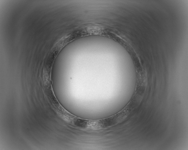 X0000078880705200611201411