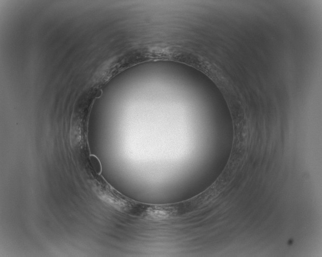 X0000078880706200611201411