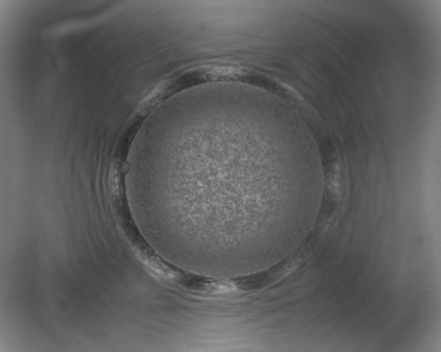 X0000078880715200611201411