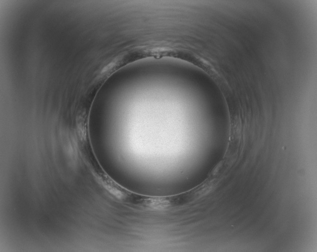 X0000078880719200611201410