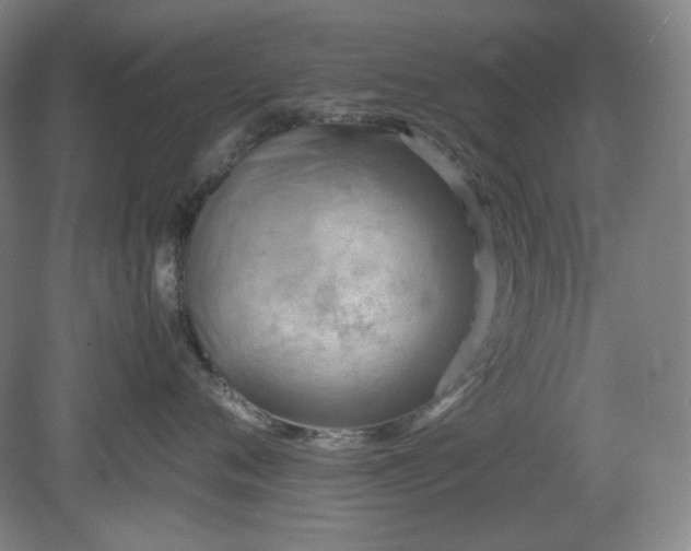 X0000078880720200611201410