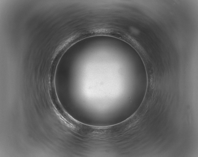 X0000078880725200611201410