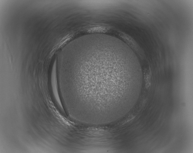 X0000078880729200611201410