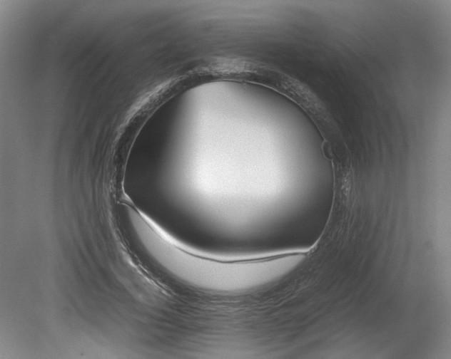 X0000078880732200611201410