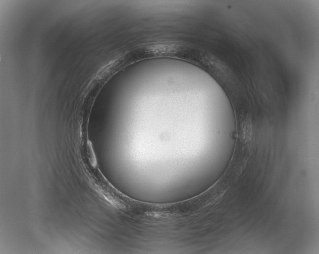 X0000078880733200611201410