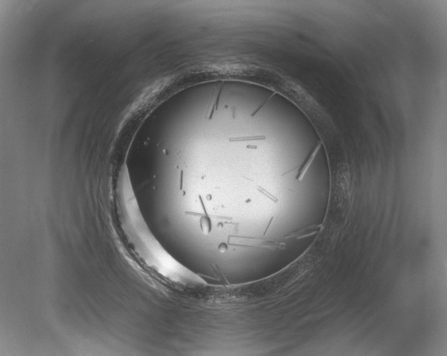 X0000078880734200611201410