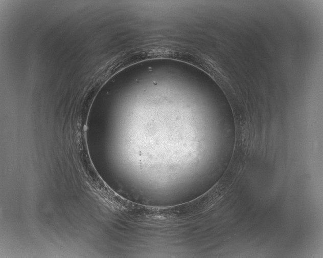 X0000078880737200611201410