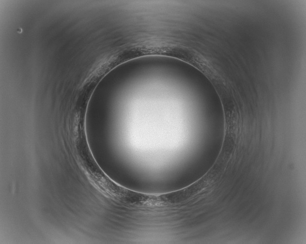 X0000078880742200611201410