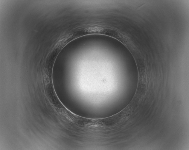 X0000078880743200611201410