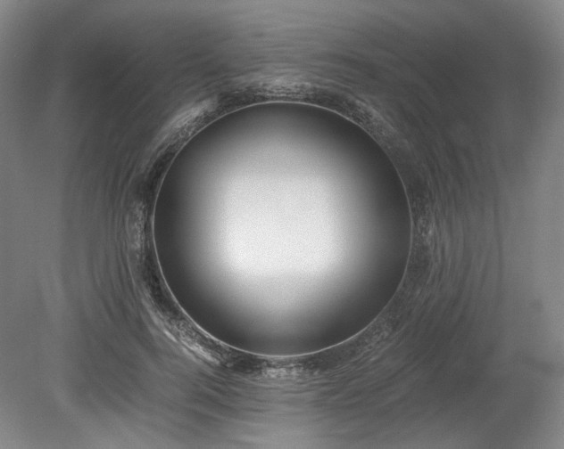 X0000078880744200611201410