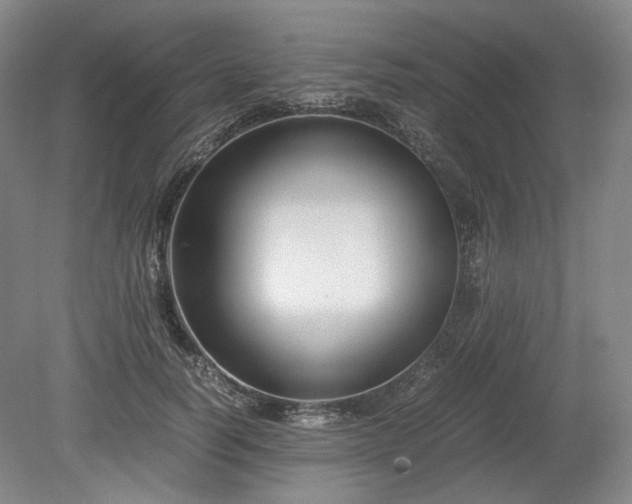 X0000078880746200611201410