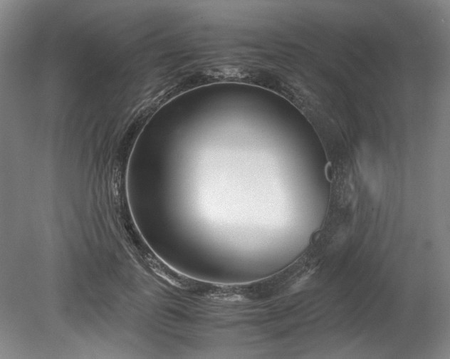 X0000078880747200611201410