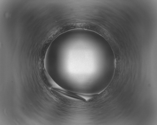 X0000078880750200611201410