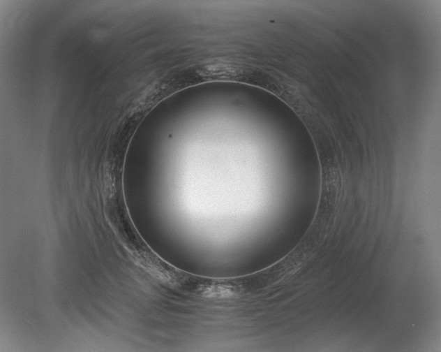 X0000078880751200611201410