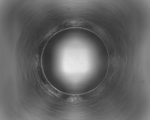 X0000078880752200611201410