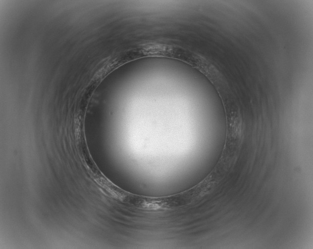 X0000078880753200611201410