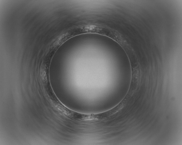 X0000078880754200611201410