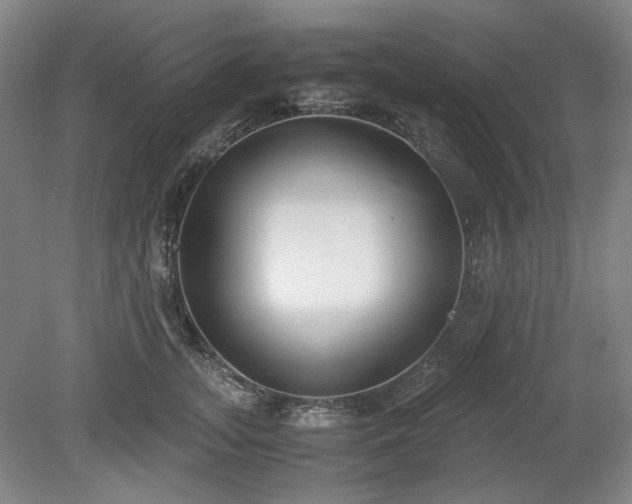 X0000078880755200611201410