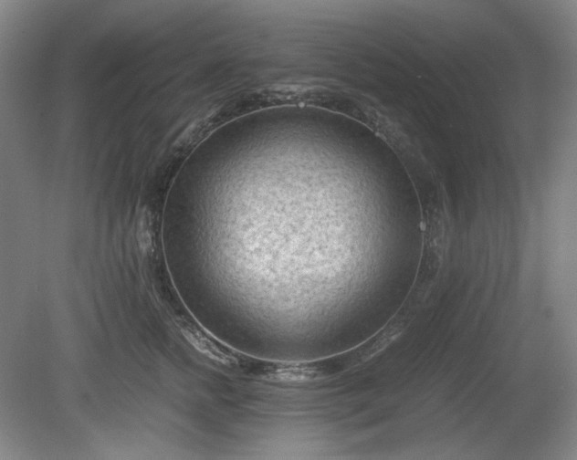 X0000078880758200611201410