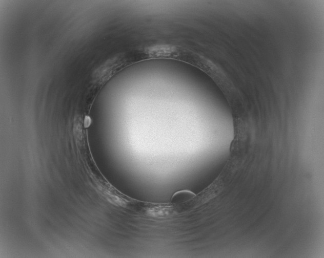 X0000078880761200611201410