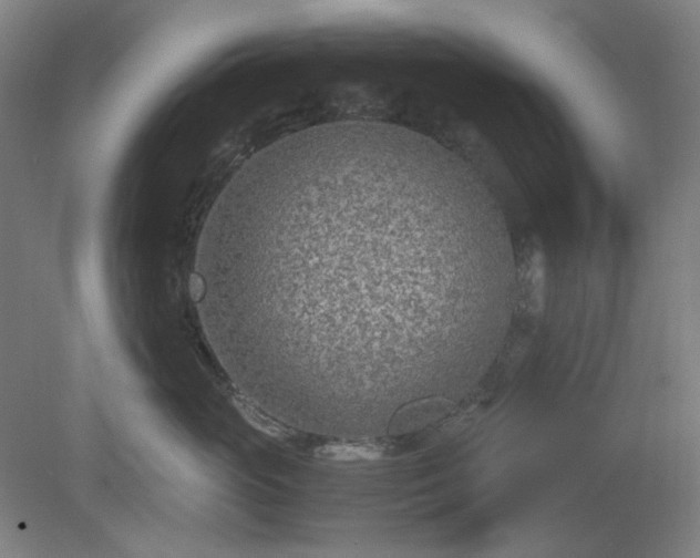 X0000078880765200611201410
