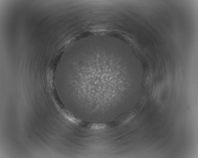 X0000078880767200611201410
