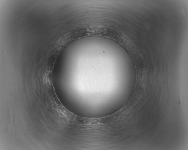 X0000078880770200611201410