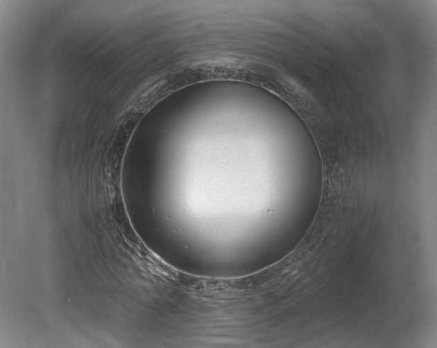 X0000078880774200611201410