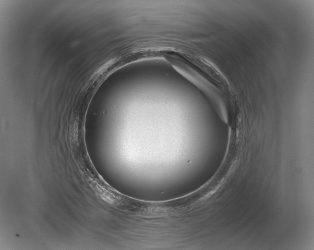 X0000078880777200611201409