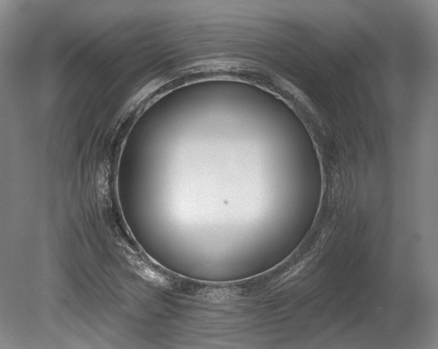 X0000078880778200611201409